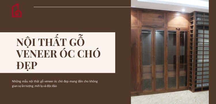 Mẫu nội thất gỗ veneer óc chó đẹp cho không gian ấn tượng