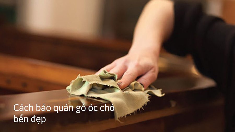 Cách bảo quản gỗ óc chó bền đẹp